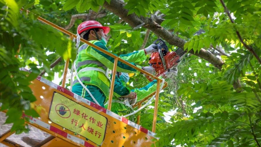 湛江道路园林绿化工程资料